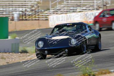 media/May-07-2022-Cobra Owners Club of America (Sat) [[e681d2ddb7]]/Yellow/Session 1 (Turn 4)/